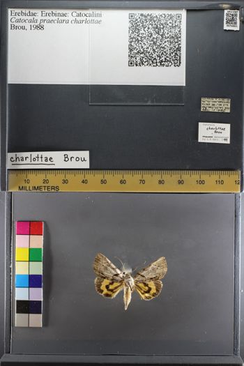 Media type: image;   Entomology 750821